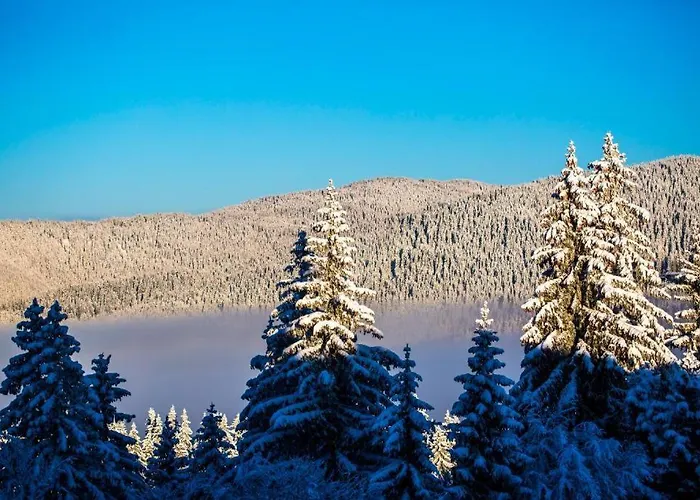 N.joy 417 By Sunny Hills * Pamporovo