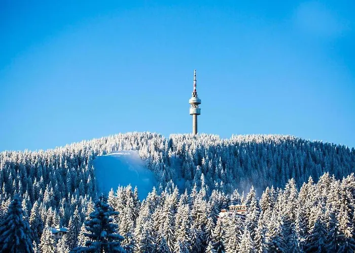 N.joy 417 By Sunny Hills Apartamento *